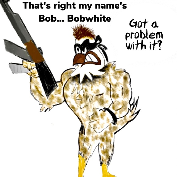 Meet your Posher, BLUE BIRD🌟 - Picture 6 of 10